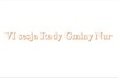 VI sesja Rady Gminy Nur